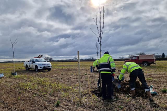 Tree Planting at new cemetery