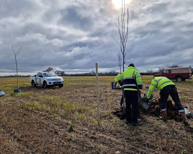 Tree Planting at new cemetery