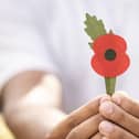 Royal British Legion Poppy