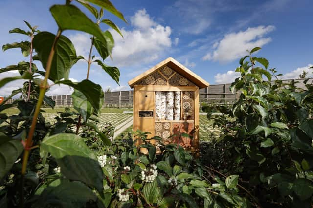 The new bug hotels