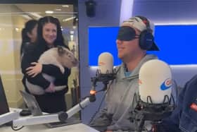 Angel getting ready to meet Roman who is blindfolded for the challenge - Animal News Agency