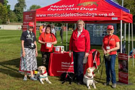 Medical Detection Dogs stall at the Buckingham Half Marathon