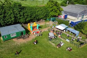 Kew Little Pigs is based in Old Amersham - Animal News Agency