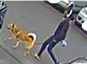Police officers want to speak to this dog walker