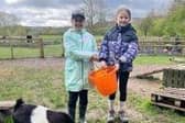 Youngsters enjoying their holiday experience - Animal News Agency