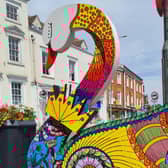 Swan