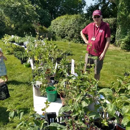 Rob Daniels with some of his home-grown plants.
