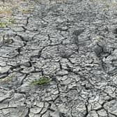Drought conditions in the East of England