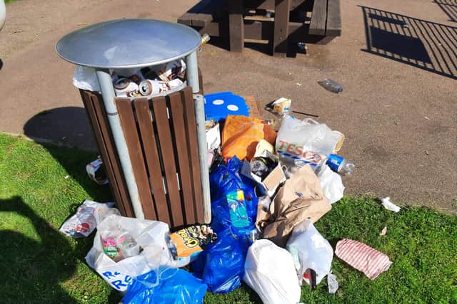 Litter in Bourton Park