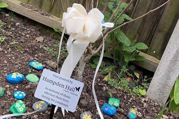Hampden Hall Plant Tree on National Day of Reflection
