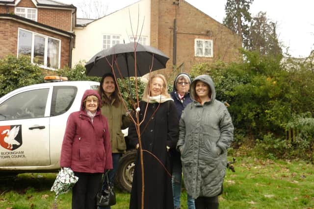 WI members with the newly planted tree