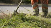 Grass-cutting season has begun