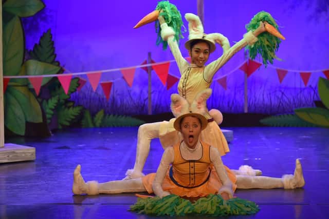 Northern Ballet’s Tortoise and the Hare comes to Aylesbury this month