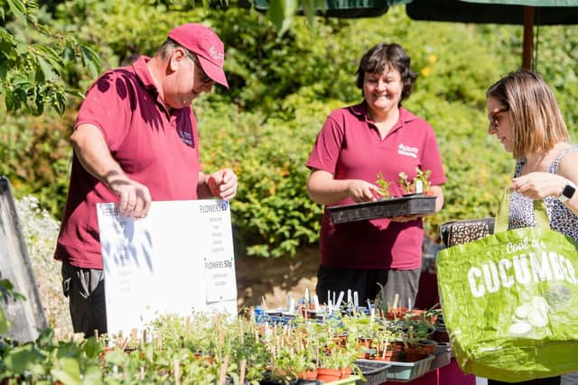 plants on sale