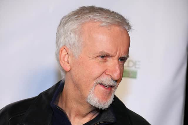 James Cameron backed the plan (Photo by Leon Bennett/Getty Images)