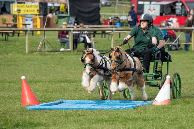 “The Flying Hamsters”, one of the teams in The British Scurry and Trials Driving Arena Challenge ©Amanda Hawes