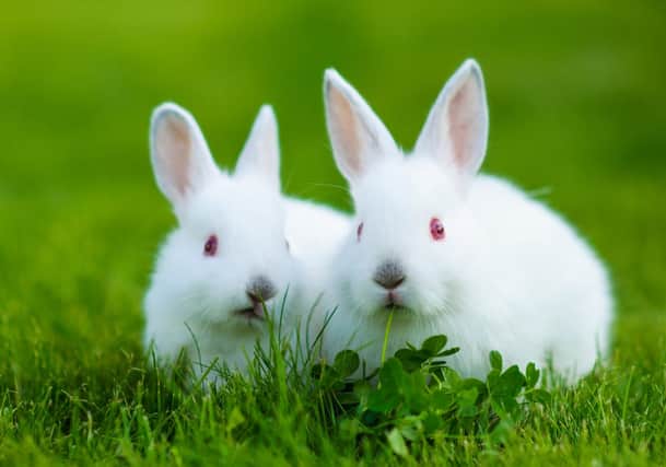 Do you have any traditions to mark the start of a new month? (Photo: Shutterstock)