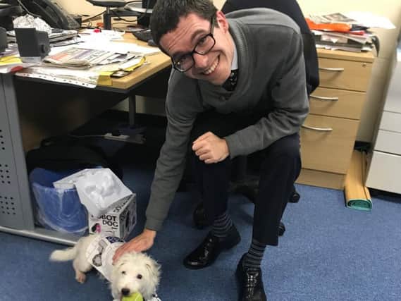 A finding the right dog for your family workshop is being held in Aylesbury next month - image shows Bucks Herald reporter Neil Shefferd with a dog that recently visited the office!