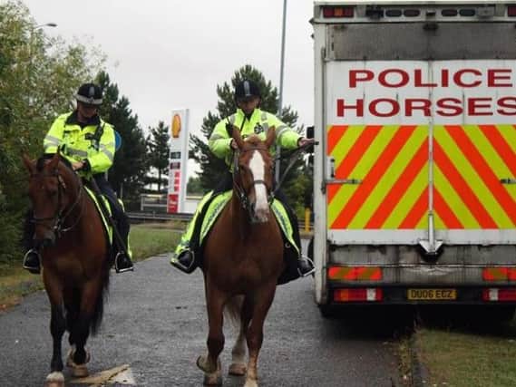 Police horses could be scrapped from the Thames Valley if new cost-cutting plans are given the green light.