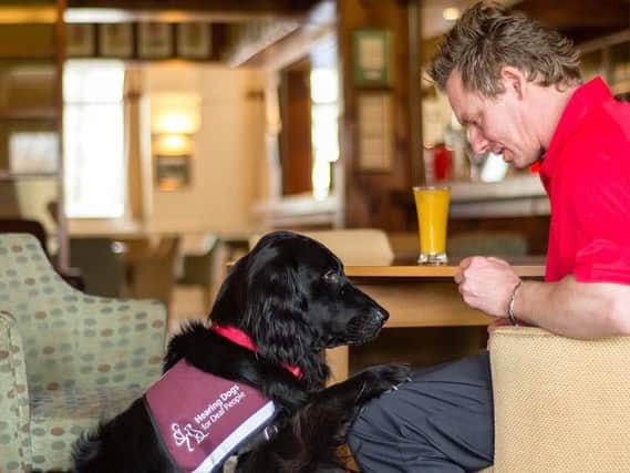 A new partnership between Bucks New University and Hearing Dogs for Deaf People will see live music performed at charitys home in Saunderton this summer.