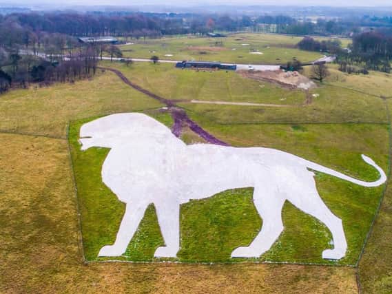 The Whipsnade chalk lion is back, fully restored!