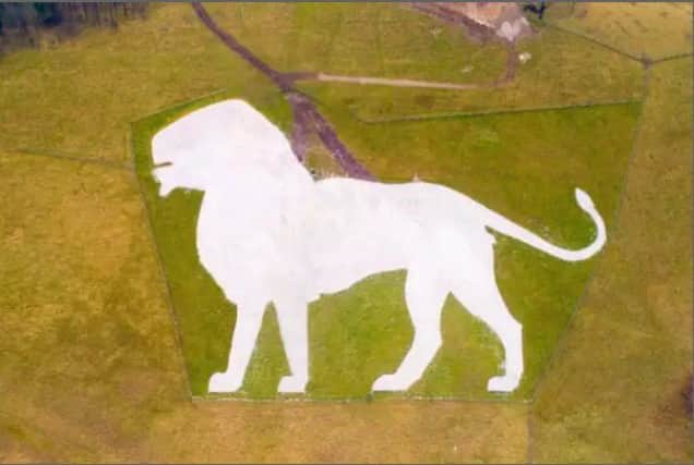 The icoinc white lion has been restored at ZSL Whipsnade Zoo. Photo by Whipsnade Zoo / ZSL