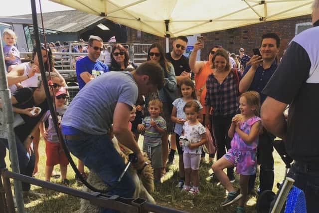 The sheep shearing demonstrations proved popular during an open day at Manor Farm, Hoggeston