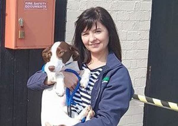 Shellby the wonder dog with Maggie Doherty of Vets 4 Pets Buckingham