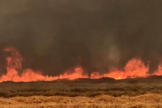 This is the moment a wildfire engulfed Buckinghamshire fields.