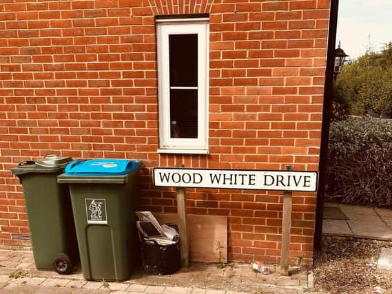 Wood White Drive where the incident happened