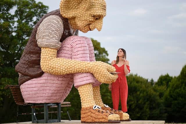 Food artist, Michelle Wibowo, 39, from West Sussex, has unveiled one of Roald Dahls most beloved characters; The BFG, made entirely from Mr Kipling cakes.