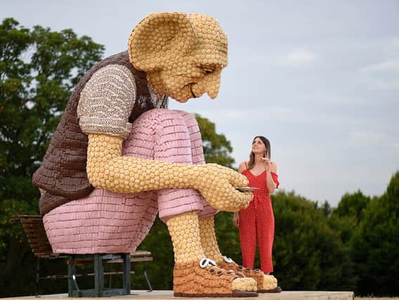 Food artist, Michelle Wibowo, 39, from West Sussex, has unveiled one of Roald Dahls most beloved characters; The BFG, made entirely from Mr Kipling cakes.
