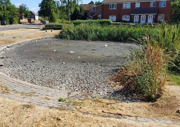 Stuart Wallace from Wallace Window Cleaning has been helping the ducks that normally reside in this pond by filling paddling pools with leftover water from his window cleaning