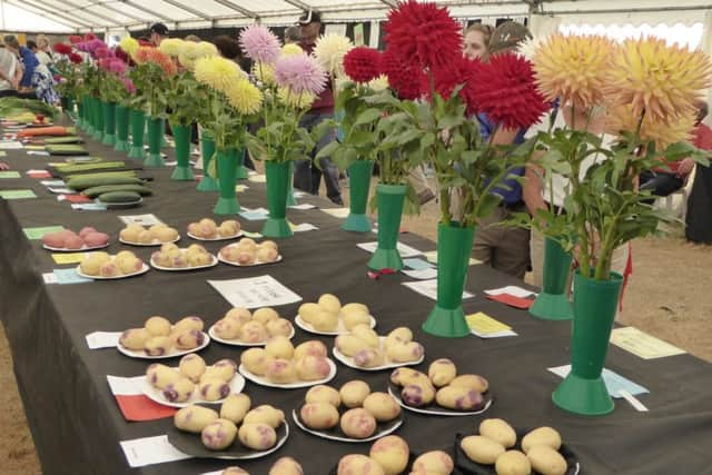 Produce on display in the Home and Crafts marquee