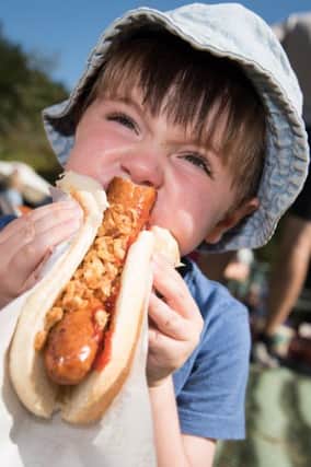 Waddesdon Manor Chilli Festival PNL-180309-090947009