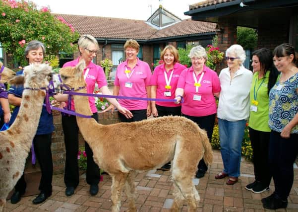 Staff and patients at the Florence Nightingale Hospice welcomed some alpacas last week