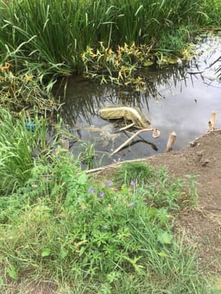 Photo of a sofa dumped in the River Thame