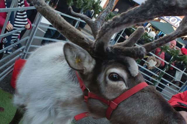 Reindeers will be present