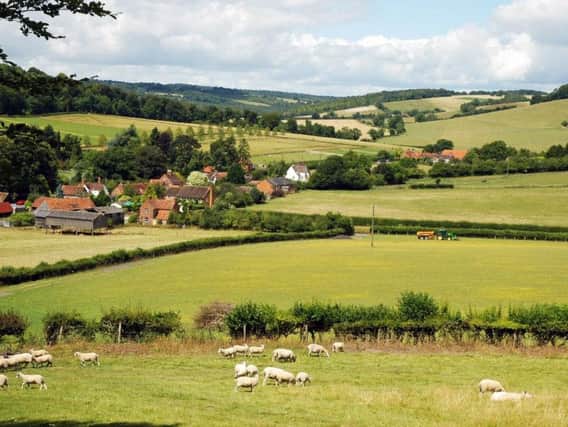 Library image of an area of the Chilterns - photo by John Morris shows Fingest Valley