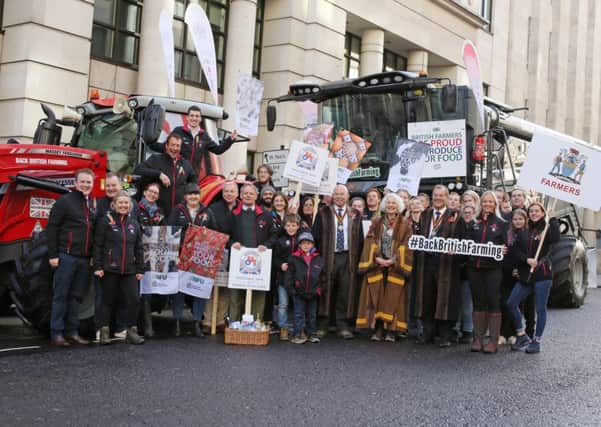 Young farmers at the Lord Mayor's Show in London, November 2018