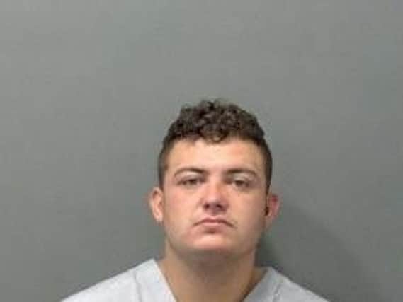 Anthony Lee, aged 22, from St Agnells Lane, was sentenced to six years and four months at St Albans Crown Court on Tuesday, November 20 after pleading guilty to 37 offences.