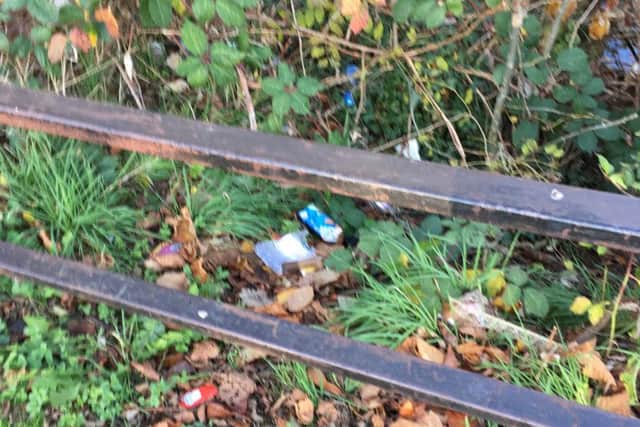 Photo showing litter by the side of a footpath in Aylesbury
