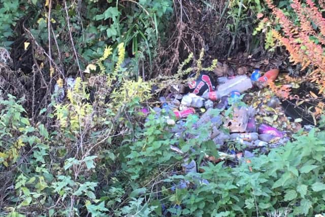 Photo showing litter in ditches/streams on the footpath near Aylesbury