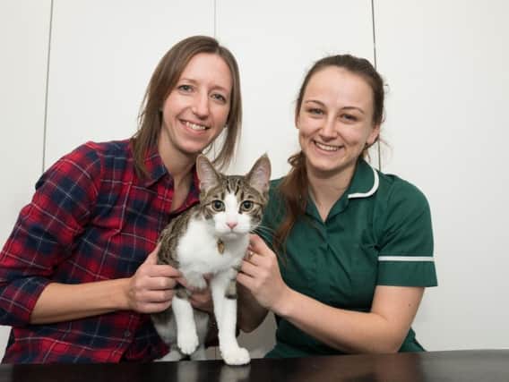 Luca the kitten with owner Sally Laird (left) and veterinary nurse Jade Deegan (right)