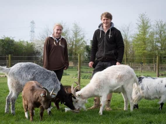 Staff at the Bucks Goats Centre feel let down by HS2