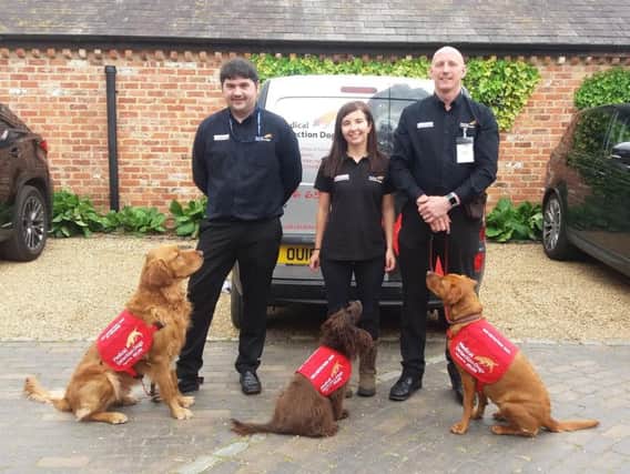 Medical Detection Dogs