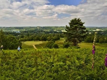 Campaign to Protect Rural England hits out at Government over Ox-Cambs development