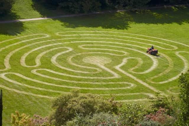 The new grass maze