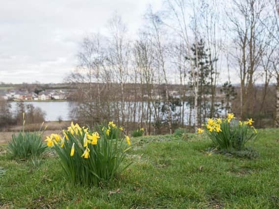 A view over Watermead