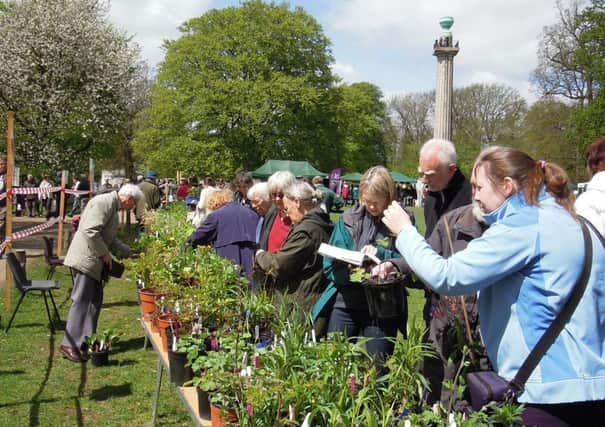 ashridge plant sale may 2013